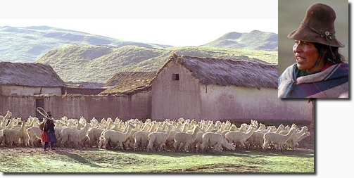 Phidal Lamas Und Alpakas Aktivitäts-Set – Buch Mit 10 Seiten, 10 Figuren & Spielmatte Für Kinder